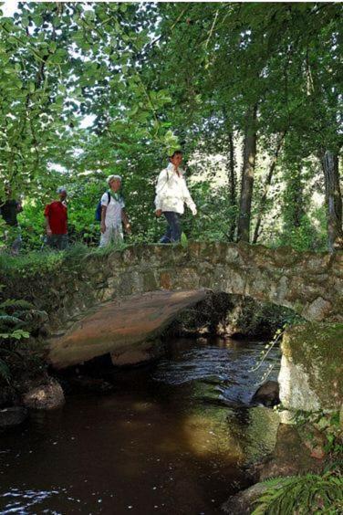 Gite La Loussaudrie Pontmain Esterno foto